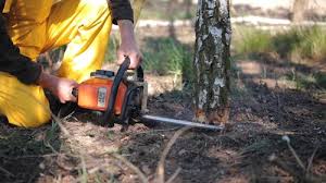 Best Pest Control for Lawns  in Heron Bay, GA