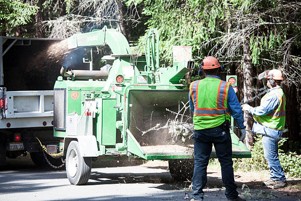 Best Utility Line Clearance  in Heron Bay, GA