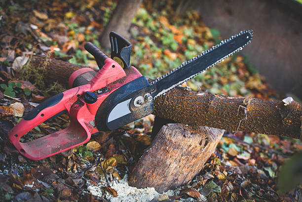 Best Tree Health Inspection  in Heron Bay, GA